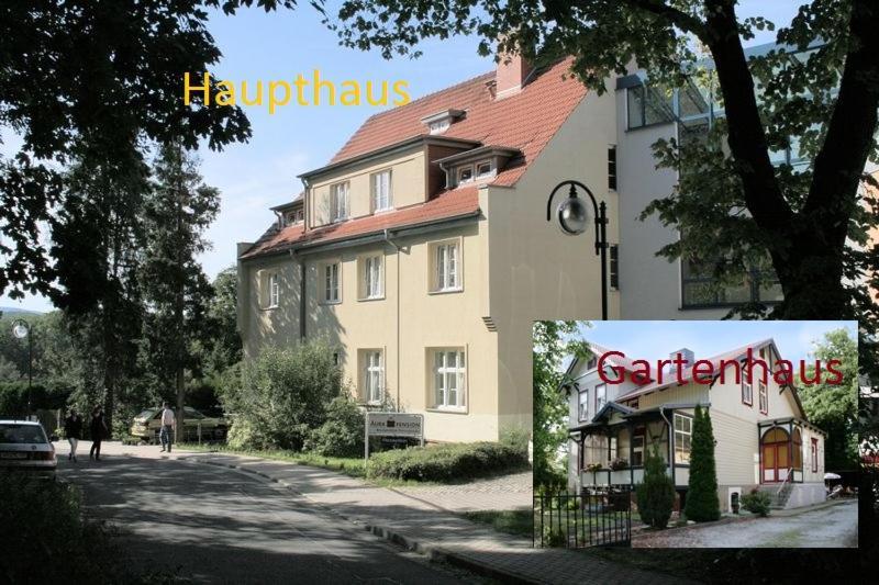 Aura Pension "Brockenblick" Wernigerode Zewnętrze zdjęcie